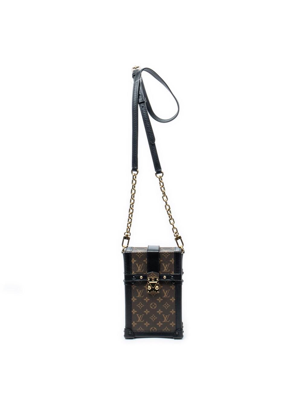 Louis Vuitton Vertical Trunk Pochette #376691L17B